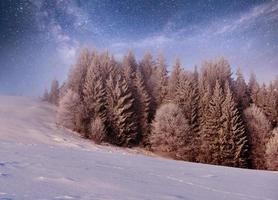 mystiska vinterlandskap majestätiska berg på vintern. magiska vinter snötäckta träd. foto gratulationskort. bokeh ljuseffekt, mjukt filter. karpaterna. ukraina. Europa