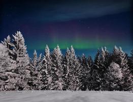 magiska vinter snötäckta träd. vinterlandskap. pulserande natthimmel med stjärnor och nebulosa och galax. deep sky astrofoto foto