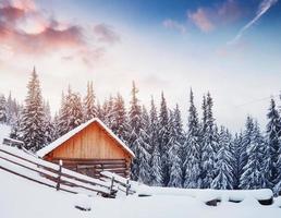 mysig träkoja högt uppe i de snöiga bergen. stora tallar i bakgrunden. övergiven kolyba herde. molnig dag. Karpaterna, det snöar. ukraina, europa foto