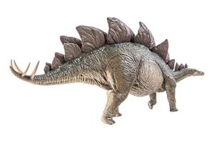 stegosaurus dinosaurie på vit bakgrund foto