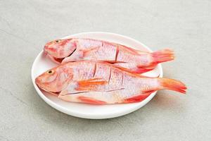 rå röd tilapia fisk är en sorts sötvattensfiskkonsumtion, serverad på vit tallrik med kryddor och citron. valt fokus foto