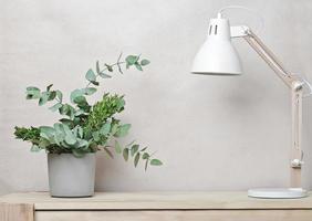 gröna eucaliptusblad i cementvas på träbord. skrivbordslampa i skandinavisk stil, kopieringsutrymme, mall för din produkt. minimal stil. foto