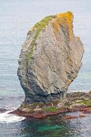 unika klippor längs havet foto