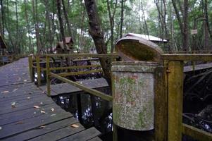 soptunnor på mangroveturismplatser så att det inte finns plastavfall och matrester foto