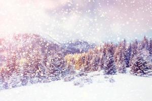 magiskt vinterlandskap, bakgrund med några mjuka höjdpunkter a foto