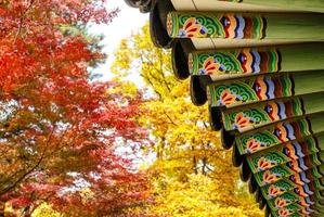 färgglada tak av en paviljong i parken av changdeokgung palace i Seoul, Sydkorea, Asien foto