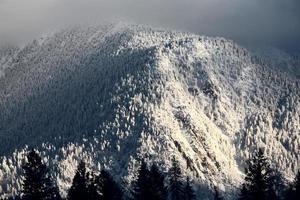 steniga berg på vintern foto