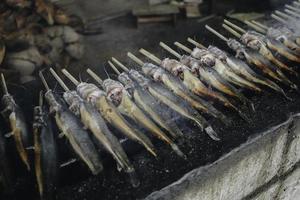kattfisk grill grillad på varm kolspis på traditionellt sätt i yogyakarta, Indonesien eller normalt kallad mangut lele. foto