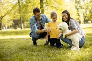 lycklig familj med söt bichon hund i parken foto