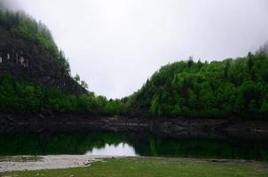 gosausee och skog foto