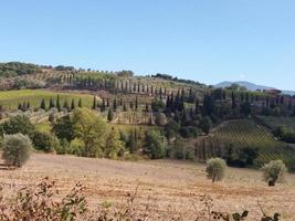 sant antimo klosterfält i montalcino foto