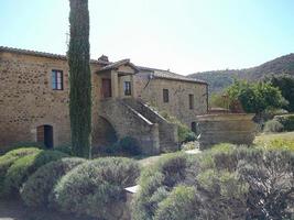 sant antimo kloster i montalcino foto