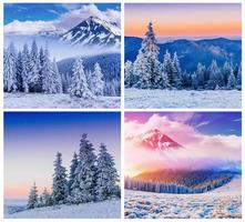 vinter alperna collage foto