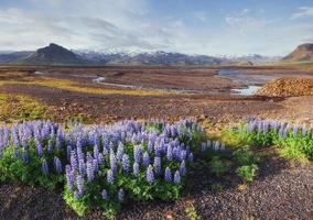 det vackra landskapet av berg och floder på Island foto