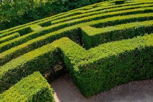 labyrint i botaniska trädgården foto