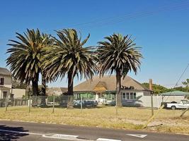 claremont, Kapstaden, Sydafrika som Kuba med palmer. foto