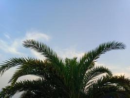 blå himmel bakgrund, bakgrundsbild för din dator foto