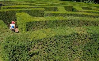 labyrint i botaniska trädgården foto