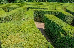 labyrint i botaniska trädgården foto