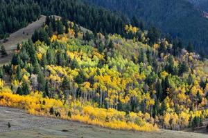 höstfärger i wyoming foto