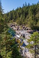 utsikt över mcdonald creek i glacier national park montana usa foto