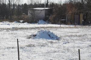 lantliga byggnader täckta med snö på vintern foto