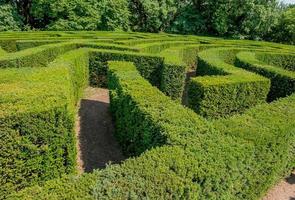 labyrint i botaniska trädgården foto