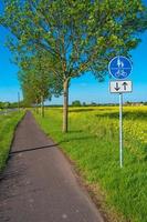 vackert gårdslandskap med rapsblomningsfält och en cykel- och vandringsstråk eller stig i tyskland, vår, vid solig dag och blå himmel, med en skylt för cyklar och människor. foto