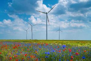 vackert gårdslandskap med vetefält, röda vallmo, vit kamomill och blå blåklint centaurea cyanus med vindkraftverk för att producera grön energi i Tyskland, sommar, vid dramatisk himmel. foto