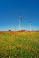 vackert gårdslandskap med röda och gula ängsblommor och vindkraftverk för att producera grön energi i Tyskland, sommar, solig dag och blå himmel. foto