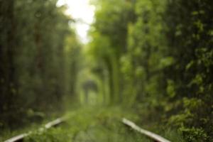 naturlig kärlekstunnel bildad av träd i Ukraina, Klevan. gammal järnväg i den vackra tunneln i sommardag. foto ur fokus på bakgrunden.