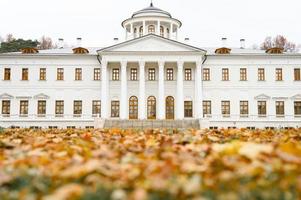 hösttid lövverk löv faller skogspark natur foto