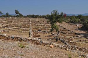 olynthus ruiner i Chalkidiki foto