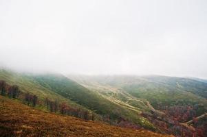 naturskön utsikt över fjällhöstens röda och orangea skogar som täcker av dimma vid Karpaterna i Ukraina, Europa. foto