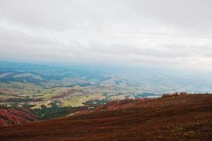 naturskön utsikt över fjällhöstens röda och orangea skogar som täcker av dimma vid Karpaterna i Ukraina, Europa. foto