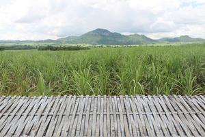 tomt bambubord framför sockerrörsfält med berg och blå himmel som bakgrund. den kan användas för visning eller montage produkt. träterrass i restaurangen i det naturliga. foto
