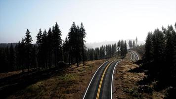 naturlig flygfoto på vägen och skogen på hösten foto