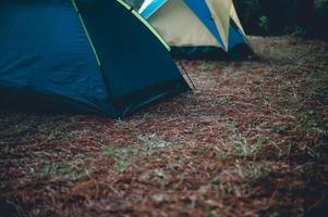 tält och boende av turister. sova i skogen på vintern och semester för turister foto
