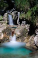 pool av hästar vid val vertova lombardiet nära bergamo i Italien foto