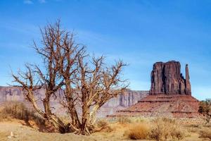 naturskön utsikt över monument valley utah usa foto