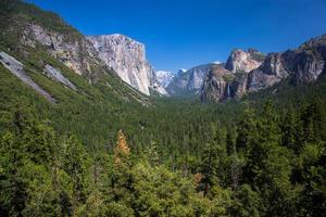 Yosemite landskap på sommaren foto