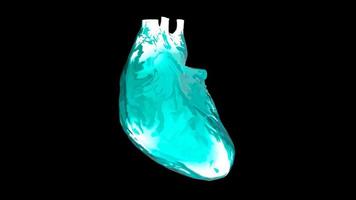 mänskligt hjärta i röntgenvy. 3d illustration foto