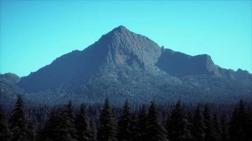 majestätiska berg med skog förgrund i Kanada foto