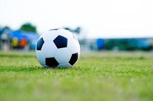 bollen på gräset i det gröna fältet på fotbollsplanen redo för straff. och börja spela fotboll på allvar. foto