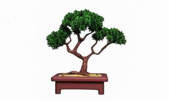 växter i små krukor eller bonsai. terrakottakrukor och permanentväxter. böjd tall i en liten kruka. 3d-rendering foto