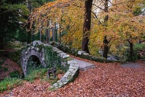 foley bridge tollymore forest park nordirland uk foto