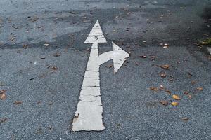 tvåvägs vit pilskylt på en väg med fallna löv på marken, gatuskyltspilar, en symbol för framsteg och framgång. foto