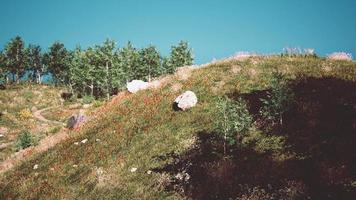 vacker utsikt över idylliska alpina bergslandskap med blommande ängar foto