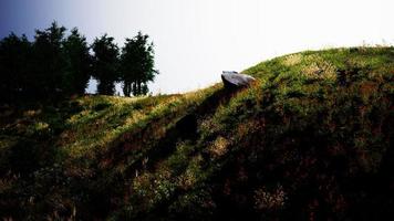 vacker utsikt över idylliska alpina bergslandskap med blommande ängar foto