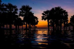 vacker solnedgång vid havet med palmer, vattenreflektion. selektiv fokusering foto